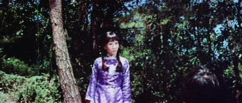 Chinese Godfather (1974) download