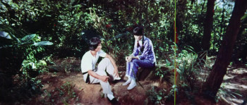 Chinese Godfather (1974) download