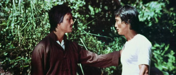 Chinese Godfather (1974) download