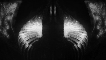 Divinity (2023) download