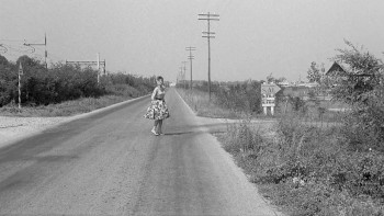Girl with a Suitcase (1961) download