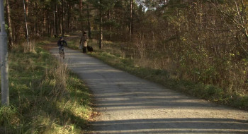 Lejontämjaren (2003) download