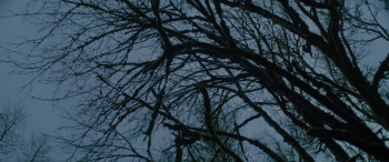 New Life (2023) download