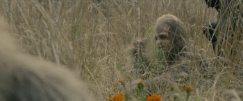 Sasquatch Sunset (2024) download