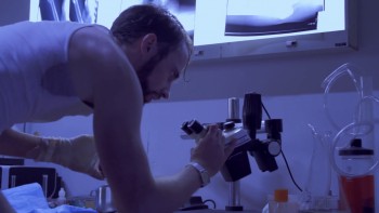 Strange Blood (2015) download