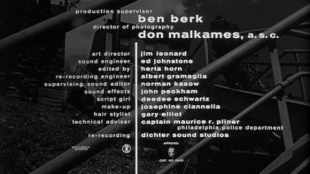 The Burglar (1957) download