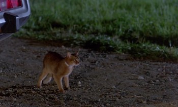 The Cat from Outer Space (1978) download