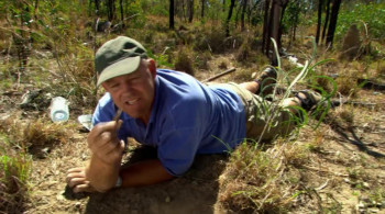 World's Biggest and Baddest Bugs (2009) download